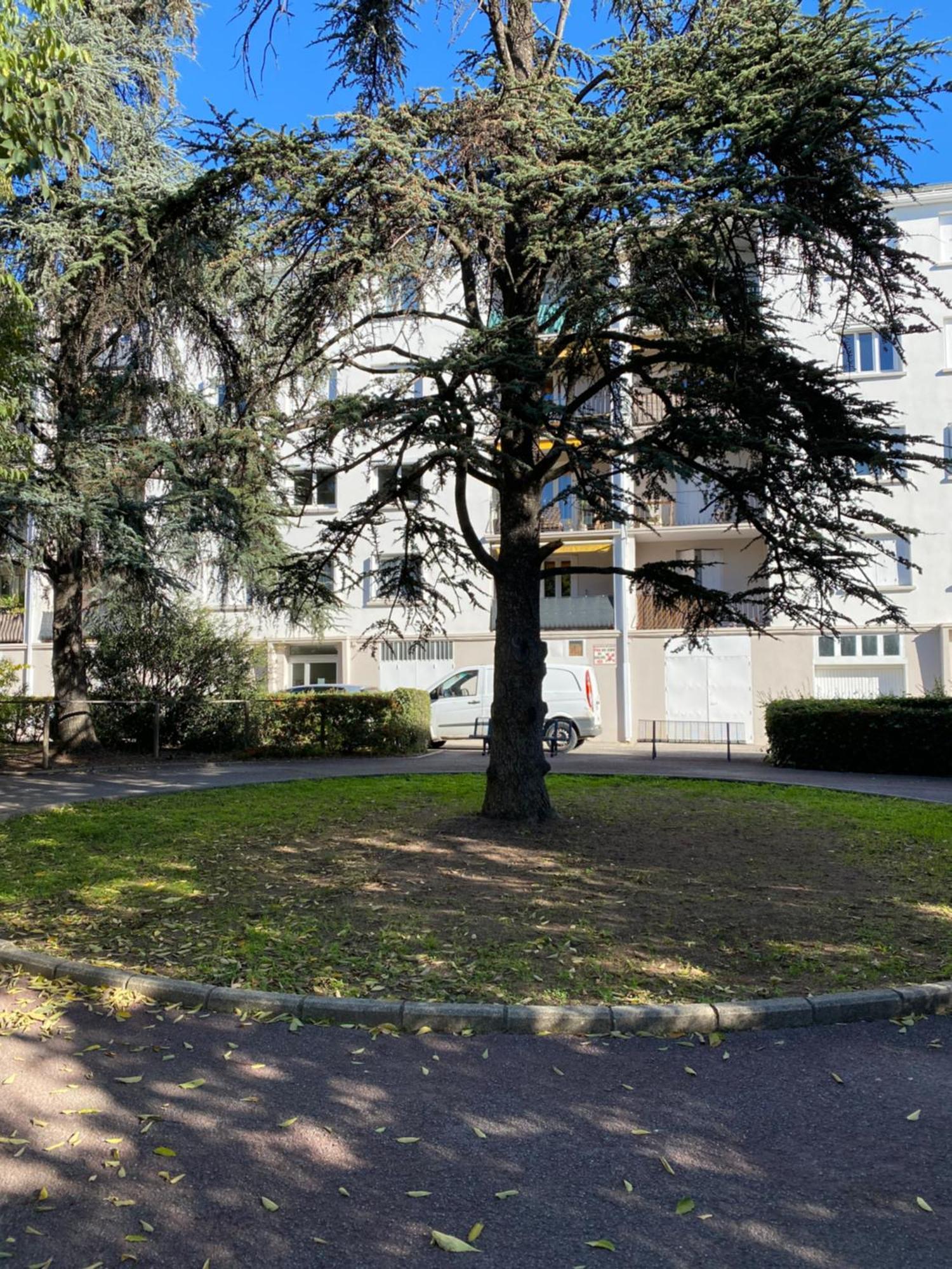 מונפלייה Appartement Rosaluz מראה חיצוני תמונה